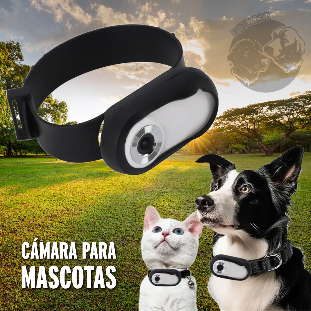 Producto Exclusivo 2